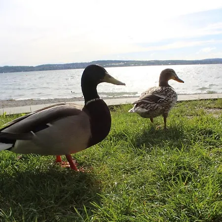 Apartamento Seelicht